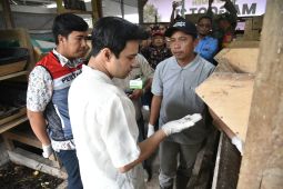 Pemkot Jambi dorong budidaya maggot urai sampah organik