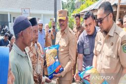 Dukung ketahanan pangan, Madina salurkan 3,5 ton benih padi unggul di Panyabungan Timur