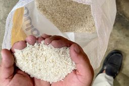 Kemendag panggil produsen beras untuk tarik beras tak sesuai mutu