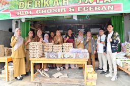 Pemkab Lampung Selatan pastikan belum ada beras oplosan dijual di pasar