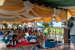 Lomba Balap Jetor Ramaikan HUT ke-17 Labura, Ketua DPRD Usul Jadi Hari Libur Daerah