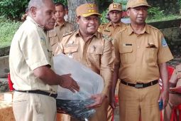 DKP Jayapura sebut bantuan benih ikan capai 210 ribu ekor per tahun