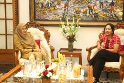 Utusan Khusus Presiden eksplorasi wisata Banyuwangi