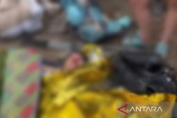 Lagi!! Wisatawan asal Swiss terjatuh di Gunung Rinjani