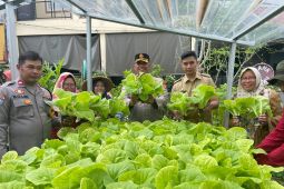 DKP Tangerang intensifkan pembinaan KWT untuk kemandirian pangan