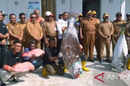 Dinas Perikanan Biak siap kirim ikan ke Papua Pegunungan