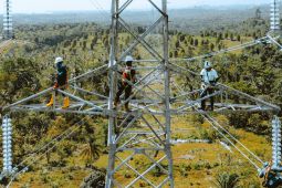 PLN operasikan jalur transmisi 150 kV dari Kolonedale ke Bungku