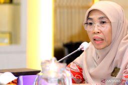 Anggota DPR RI usul penyediaan rumah aman untuk cegah perdagangan bayi