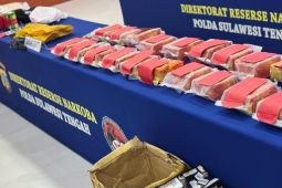 Polda Sulteng ungkap 375 kasus narkoba sejak Januari-Juli 2025