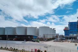 PLN dukung penguatan industri sawit di Mempawah