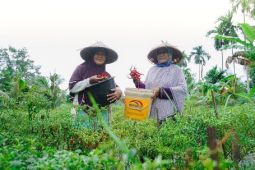 Ciptakan ekonomi inklusif, PT Timah kembangkan PPM berbasis potensi lokal