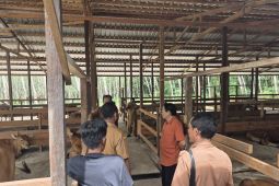 DPRD Kalsel: Kandang komunal contoh sukses peternak Tabalong