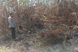 Personel Polres Simalungun periksa titik api kawasan hutan, imbau begini