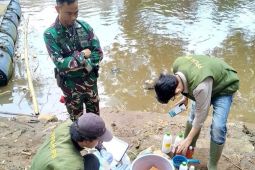 DLH DKI dorong perbaikan tata kelola pulihkan baku mutu sungai yang aman di Jakarta