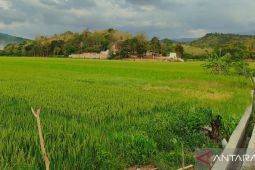 BMKG imbau petani di Manggarai Barat mewaspadai dampak suhu rendah
