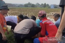 Polres Cianjur: Pria lompat dari tower 70 meter adalah murni bunuh diri