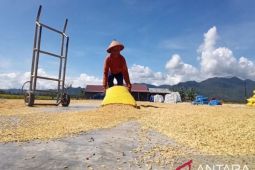 Petani Parimo diminta sisihkan 20 persen beras hasil panen