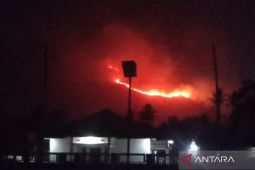 Petugas dan masyarakat sekitar kesulitan padamkan api karhutla puncak Bukit Gagoan Solok