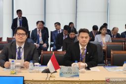 BKSAP DPR usul pembentukan gugus tugas ASEAN hadapi tantangan digital