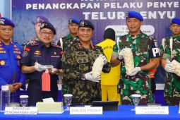 KKP ungkap kerugian penyelundupan telur penyu di Kalbar mencapai Rp9,6 miliar