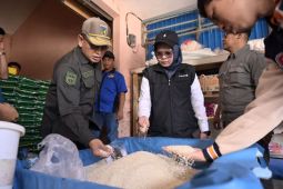 Pemprov Sulteng perkuat peran TPID jaga stabilitas harga beras