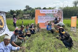 CPM targetkan 10 ton bawang merah dari program CSR di Tanamodindi