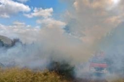 Pusdalops catat 235 lahan terdampak  akibat karhutla di Kabupaten Toba