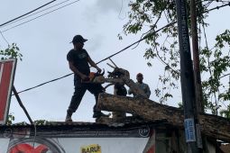 17 bangunan di Aceh Besar rusak akibat angin kencang