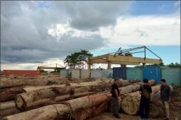 Kementerian Kehutanan tetapkan lima tersangka kasus peredaran kayu ilegal di Kalbar