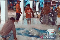 Pemkab Biak Numfor: BUMDes-kopdes merah putih berpotensi kelola pangan lokal