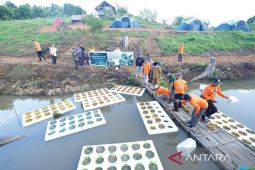 Bupati Kutim uji coba pertanian terapung