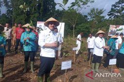 Optimalkan ketahanan pangan, Gubernur Maluku salurkan bantuan pertanian pada petani di SBT