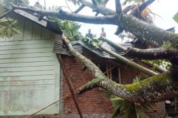 Bupati intruksikan BPBD Aceh Besar gerak cepat tagani bencana