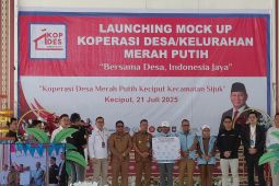 Bupati Belitung: KDMP pendorong dan penggerak ekonomi masyarakat