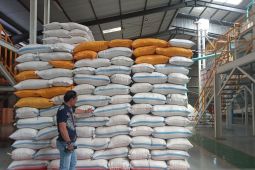 Perum Bulog Makassar salurkan 3.400 ton cadangan beras di lima wilayah Sulsel