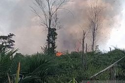 Manggala Agni pastikan api padam di kawasan Tahura Batang Hari