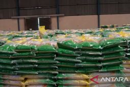 Pemprov Babel akan menindak tegas pengoplos beras