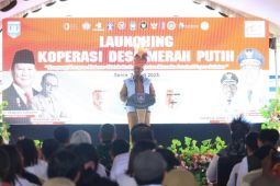 Pemprov Papua Selatan terus berupaya kembangkan tiga sektor pertanian