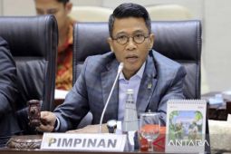 DPR RI: Koperasi Desa Merah Putih harus punya skema pendanaan berkelanjutan