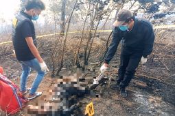 Polisi dalami kebakaran lahan tewaskan seorang petani perempuan di Humbahas