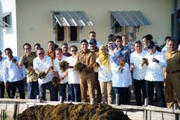 Pemkab Indramayu sebut budidaya rumput laut sebagai potensi ekonomi
