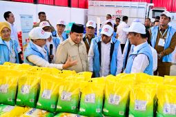 Bulog dukung Kopdes Merah Putih perkuat ketahanan pangan nasional