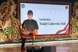 Pemda Bali telusuri potensi peredaran beras oplosan