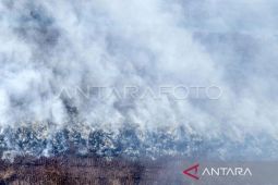 Sumber air jadi kendala  padamkan karhutla di Muaro Jambi