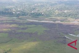 Satgas Karhutla Tanjabbar padamkan api di Betara