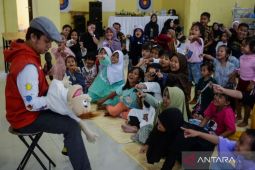 IDAI: Pemerataan akses hingga lingkungan dukung tumbuh kembang anak