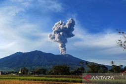 Gunung Marapi kembali erupsi, lontarkan abu vulkanik setinggi 500 meter
