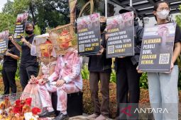 AFFA desak Plataran terapkan kebijakan telur bebas sangkar