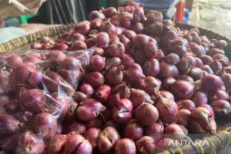 Bapanas: Harga cabai rawit Rp45.031/kg, bawang merah Rp38.100/kg