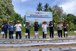 BNN dan BI Aceh jalankan program berdikari tani dari tanam ganja ke cabai
